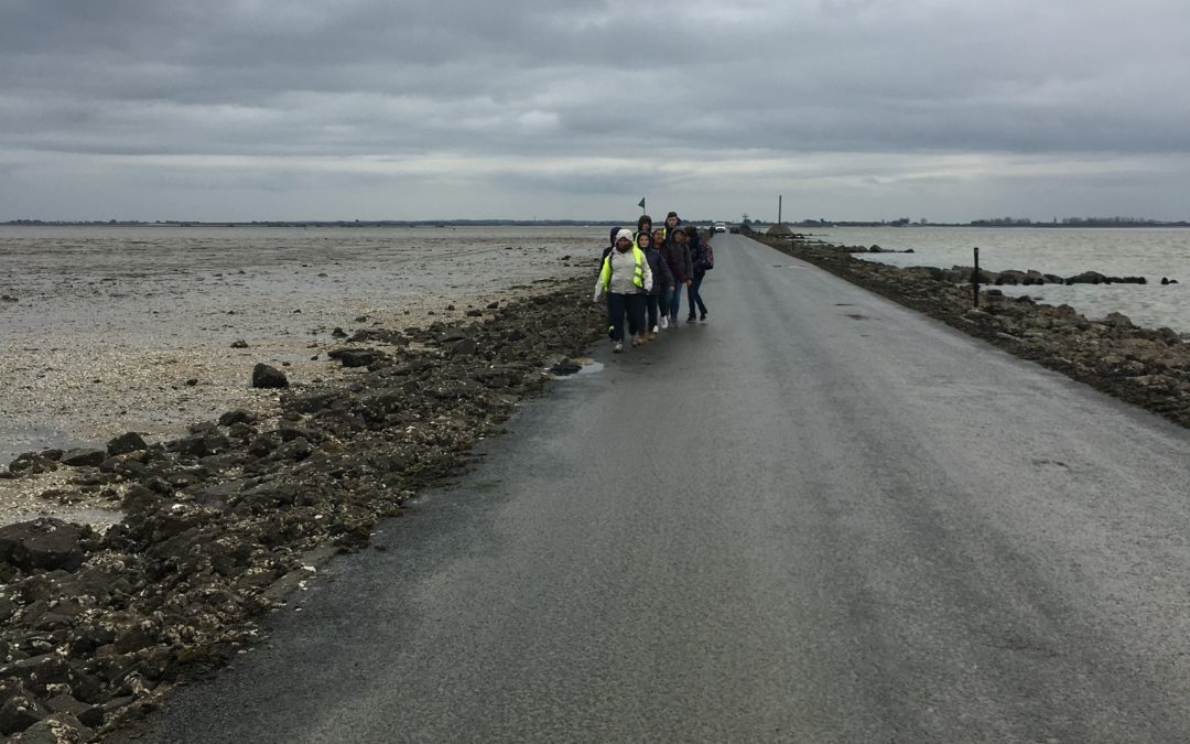 Journée « choisis la vie » avec 31 collégiens et 9 lycéens : passage du Gois puis temps à Noirmoutier. Très belle journée malgré la pluie !!!